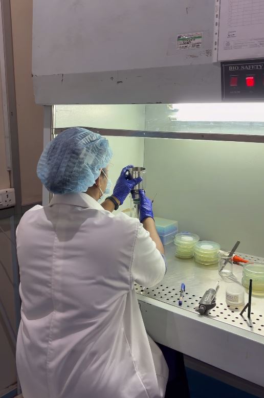 Laboratory 5