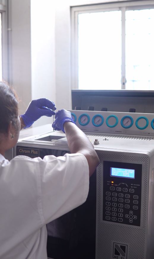 Laboratory 10