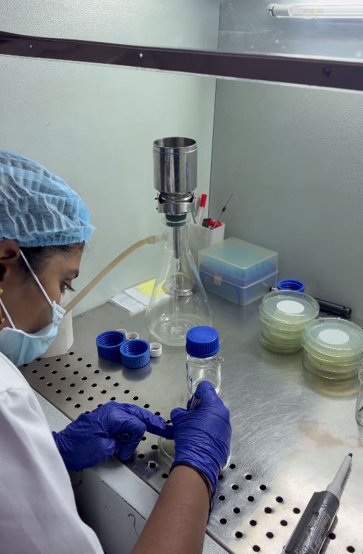 Laboratory 6